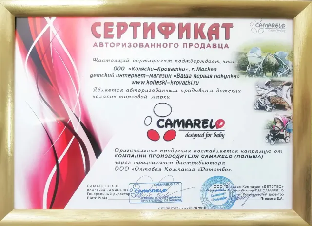 Детская коляска Camarelo Sirion 3 в 1 — фото 4