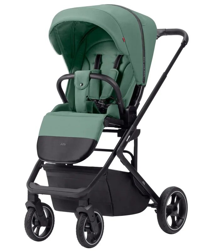 Детская прогулочная коляска Carrello Alfa CRL-5508 2023 — фото 1