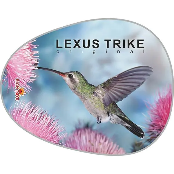 Трехколесный велосипед Lexus Trike original RT Next Deluxe New Design 2014 с низкой спинкой фото 1