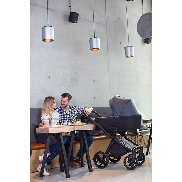 Детская коляска Invictus V-Print 2 в 1 фото 21