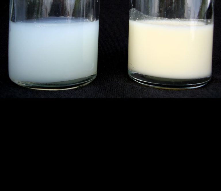 молоко.jpg молоко.jpg