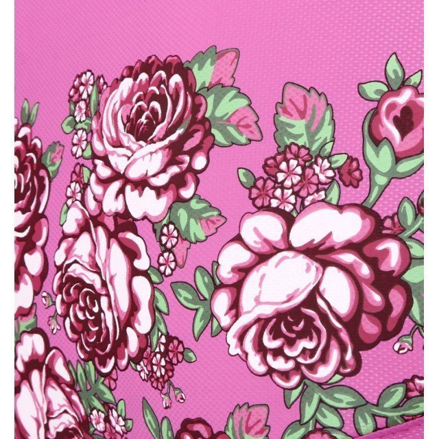 Детская прогулочная коляска Capella S-901WF Air Сибирь Roses фото 2