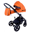 Детская коляска Ray Corsa  Ecco 2 в 1 - Фото