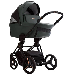 Детская коляска Bebetto Monti Pro 2 в 1