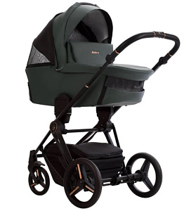 Детская коляска Bebetto Monti Pro 2 в 1
