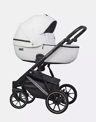 Детская коляска Riko Basic Montana Premium Silver 2 в 1