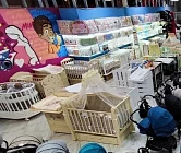 8 правил для воспитания подростка