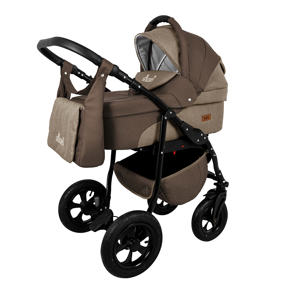 Детская коляска Ray Teresa Lux 2 в 1 - Фото