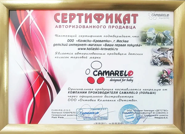 Детская коляска Camarelo Sevilla 2 в 1 фото 2