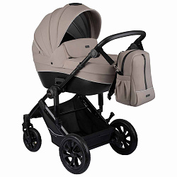 Детская коляска Indigo Coin 2 в 1