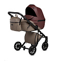 Детская коляска Anex e/type 2 в 1 (versus
						
					) — Фото