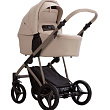 Детская коляска Bebetto Pelpasso Pro 2 в 1 - Фото