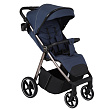Детская прогулочная коляска Pituso Emma - Фото