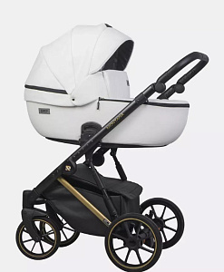 Детская коляска Riko Basic Montana Premium Gold 2 в 1