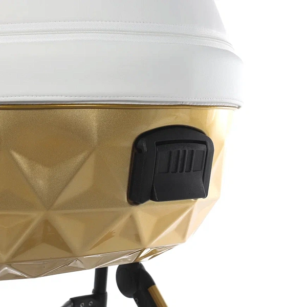 Детская коляска Junama Diamond Mirror Satin V2 2 в 1 на золотой раме фото 14