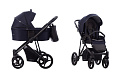 Детская коляска Bebetto Pascal 2 в 1 на черной раме (04_CZM
						
					) — Фото