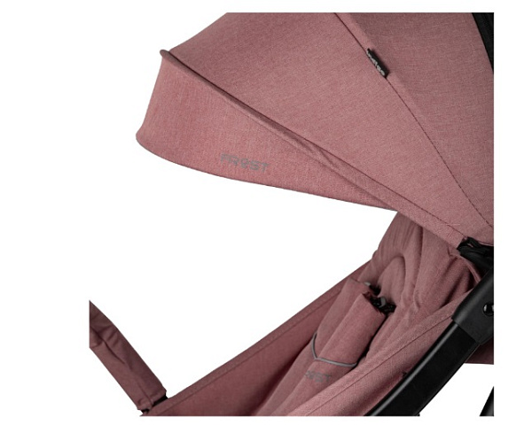 Детская прогулочная коляска Indigo Frost фото 12