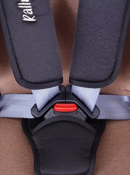 Детское автокресло Rant Basic Rally фото 5