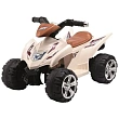 Электроквадроцикл Bambini Mini Kvadro Бамбини Мини Квадро - Фото