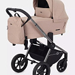 Детская коляска Rant Flex Pro 2 в 1 - Фото